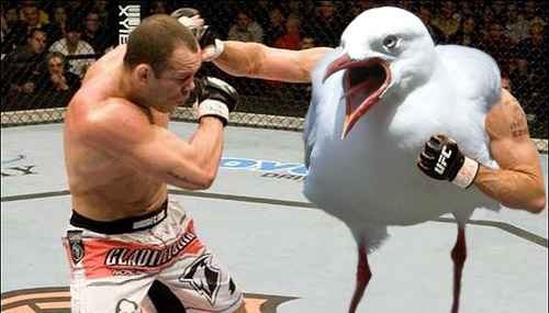 假如這些惡搞變成現實