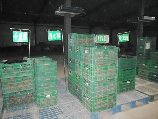 十八大后看河北:廊坊市固安縣蔬菜產(chǎn)業(yè)建設(shè)成果點(diǎn)擊