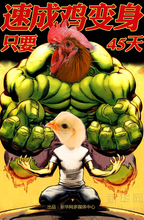 新華漫畫(huà):如何分辨土雞VS速成雞