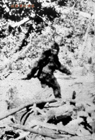 臺灣外星人疑造假 圖揭歷年神秘生物騙局