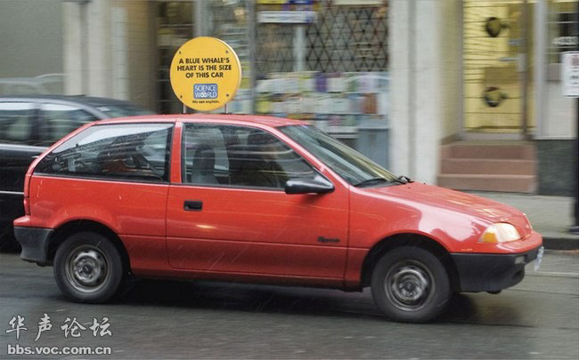 蚊子最喜歡藍(lán)色 這25個(gè)科學(xué)冷知識(shí)你了解多少？