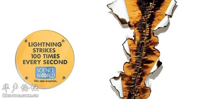 蚊子最喜歡藍色 這25個科學冷知識你了解多少？