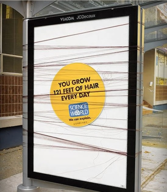 蚊子最喜歡藍(lán)色 這25個科學(xué)冷知識你了解多少？