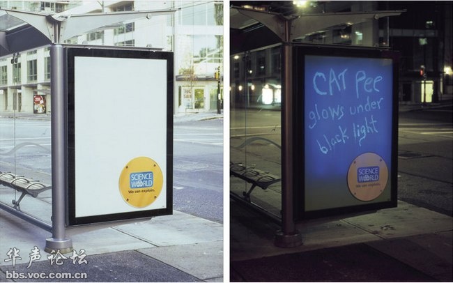 蚊子最喜歡藍(lán)色 這25個科學(xué)冷知識你了解多少？