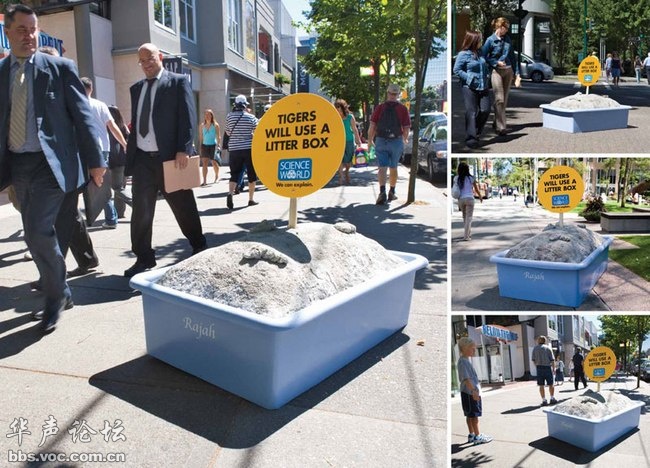 蚊子最喜歡藍色 這25個科學冷知識你了解多少？