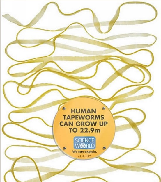 蚊子最喜歡藍(lán)色 這25個(gè)科學(xué)冷知識(shí)你了解多少？