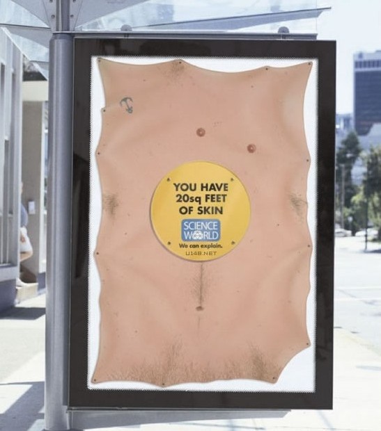 蚊子最喜歡藍色 這25個科學冷知識你了解多少？