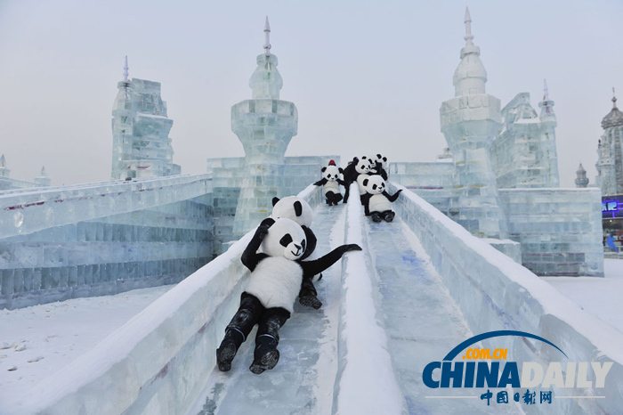 哈爾濱冰雪大世界 “大熊貓”憨態(tài)可掬