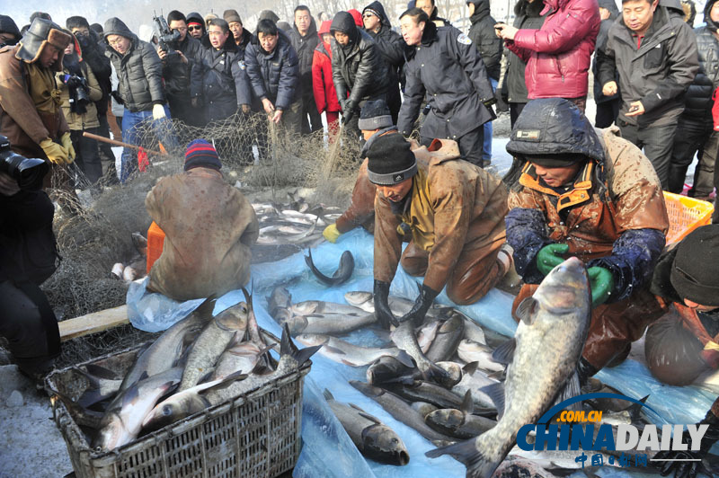 沈陽(yáng)棋盤山首屆冬捕節(jié)開網(wǎng)捕魚