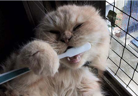 全球頂尖醫生的24大健康建議