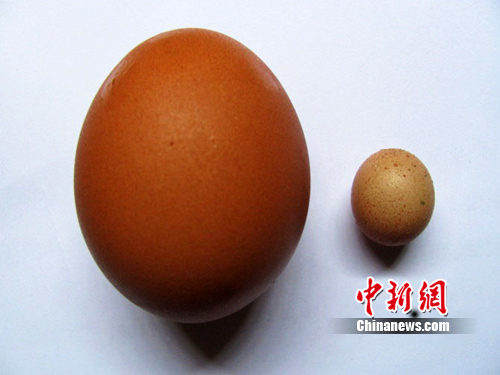 對抗霧霾天：五大食物助你提高抵抗力(組圖)