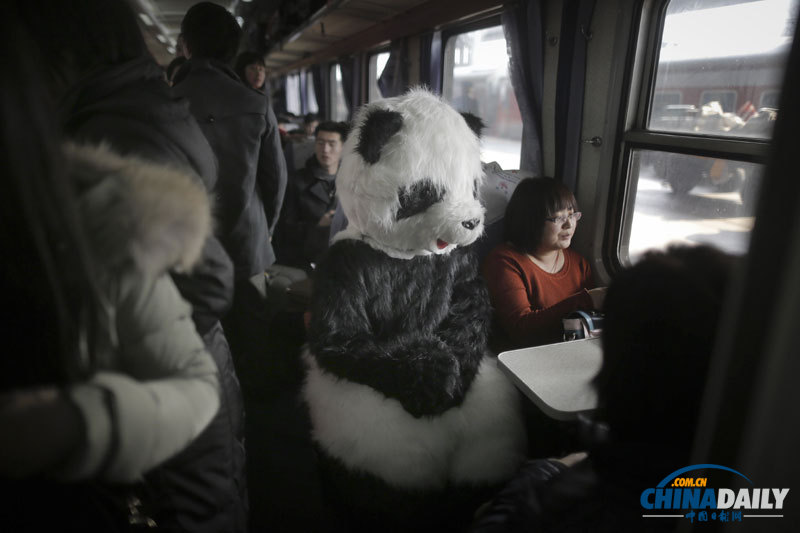 中國日報一周圖片精選:1月26日-2月1日