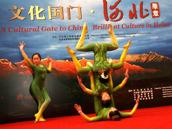 令人驚嘆的柔術