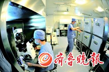 試管嬰兒想做就做？不孕不育治療亂象堪憂