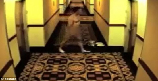 被鎖酒店房門外 裸男托盤遮羞