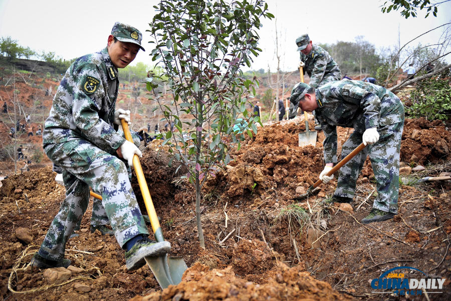 《中國日報(bào)》聚焦“3·12”植樹節(jié)圖片精選