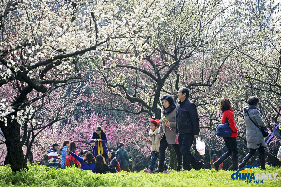 聚焦美麗中國之“春天在哪里”