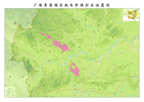 美麗的弄崗 物種的天堂
