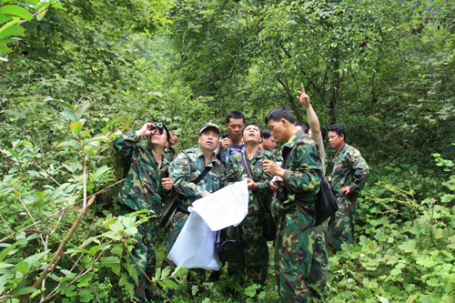 美麗的弄崗 物種的天堂