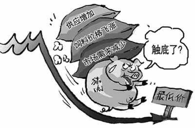肉價為啥走不出暴漲暴跌怪圈？