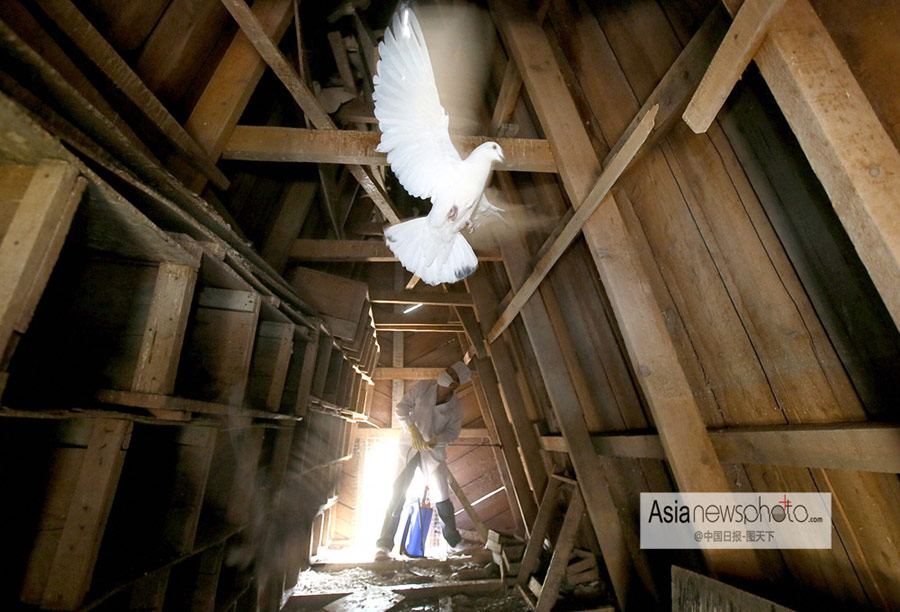 中國日報一周圖片精選：4月8日—4月14日