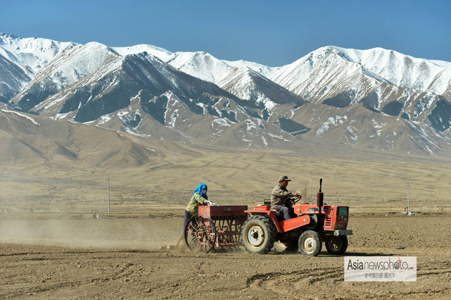 中國日報一周圖片精選：4月8日—4月14日