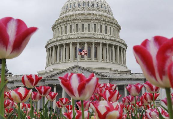 裝滿(mǎn)炸藥壓力鍋是“元兇” 現(xiàn)場(chǎng)可疑者照片引熱議