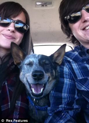 快到鼻子上來！超萌狗狗身懷絕技 鼻子啥都能頂