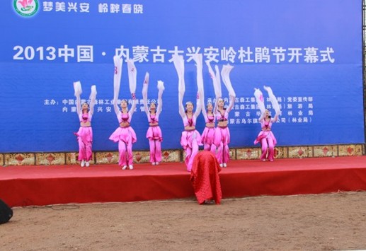 2013中國·內蒙古大興安嶺杜鵑節開幕