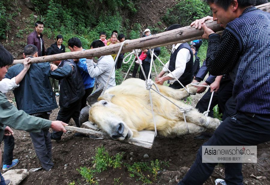 中國日?qǐng)?bào)一周圖片精選：5月11日—17日