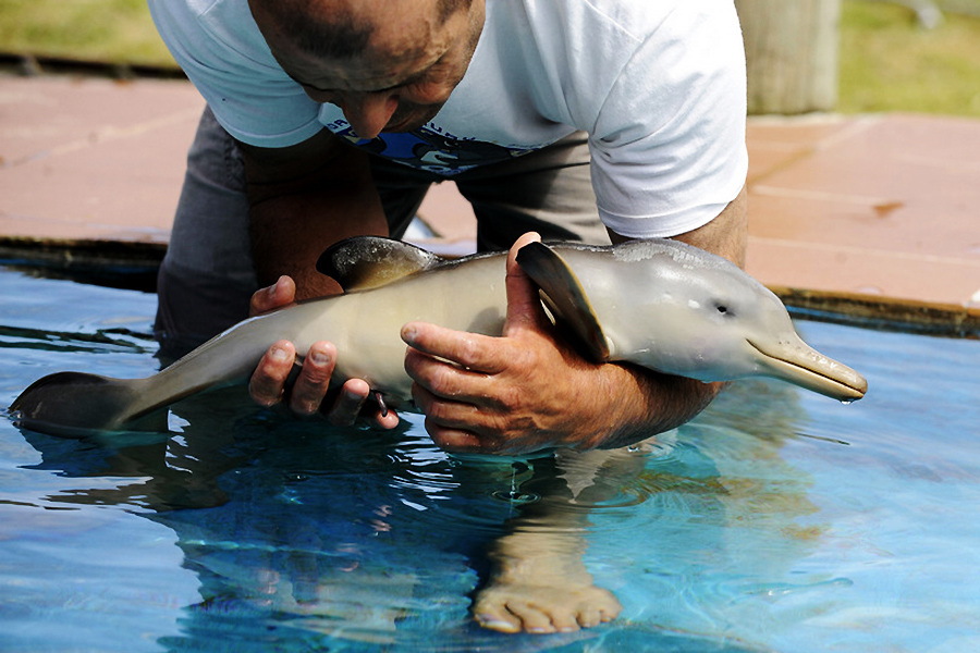 小動(dòng)物幼稚園也過(guò)兒童節(jié) 超級(jí)萌物排排坐