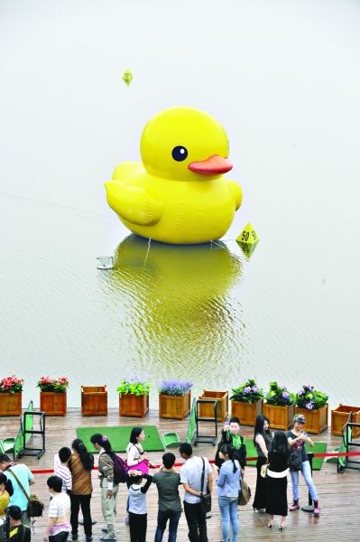 大黃鴨設計者斥抄襲愚蠢:內地版全是山寨