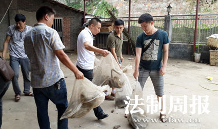 岳陽日均吃蛇2千斤遭圍觀 揭秘非法經營窩點（組圖）