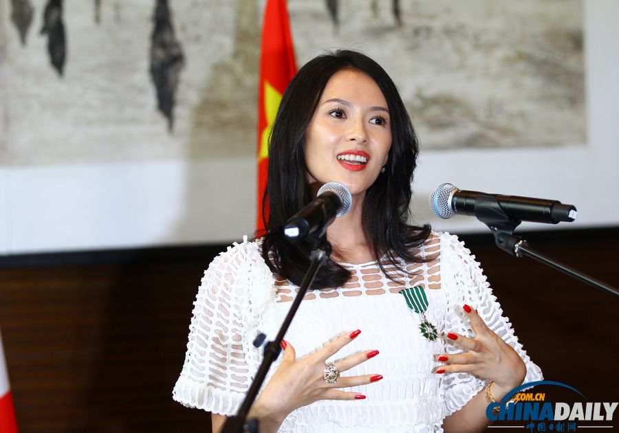 章子怡、劉燁獲頒法國藝術與文學騎士勛章