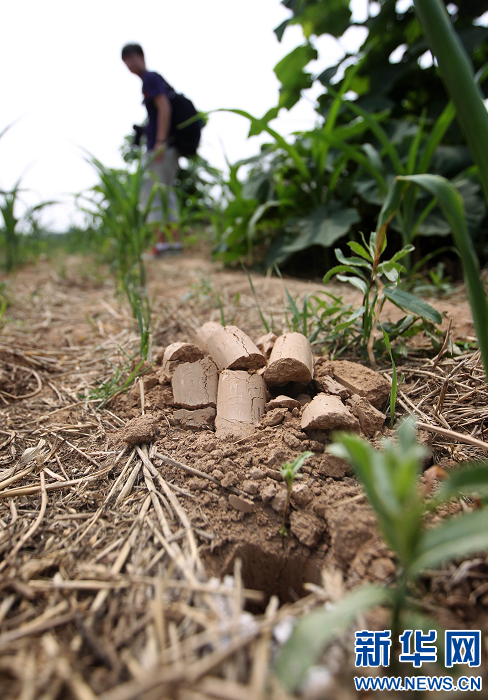 洛陽孟津疑似李煜墓引關注 專家稱證據不足無法確認