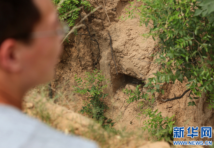 洛陽孟津疑似李煜墓引關(guān)注 專家稱證據(jù)不足無法確認(rèn)