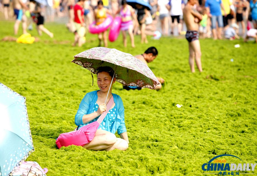 青島迎入夏最大規模滸苔登陸