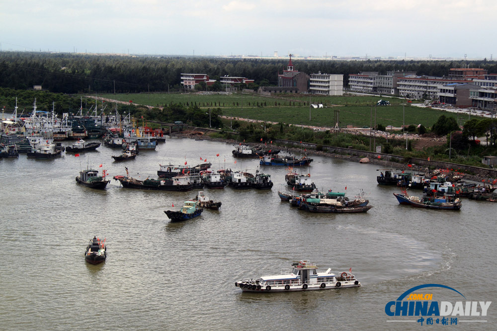 浙江臺州：“蘇力”退去 漁船齊出閘