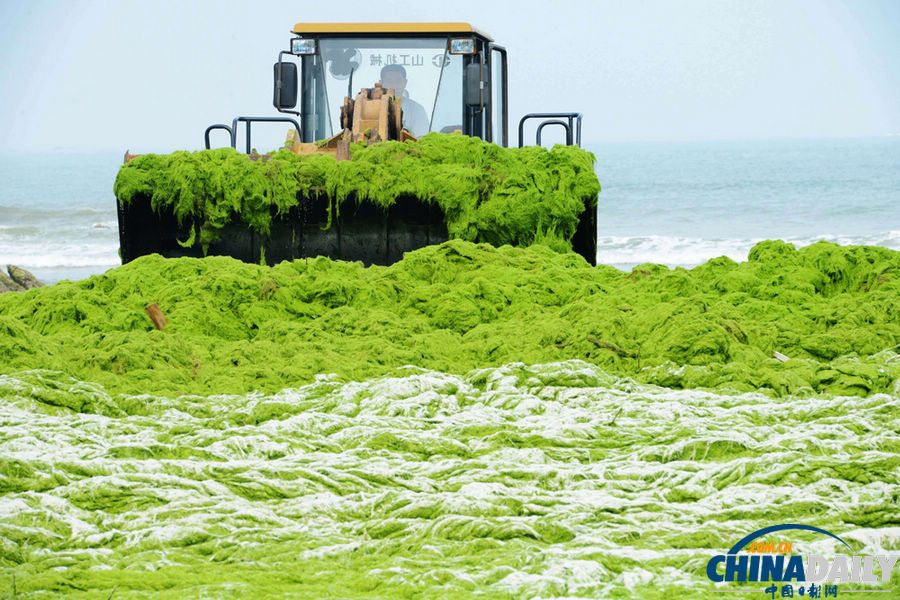 《中國日報》一周圖片精選：7月13日—7月19日
