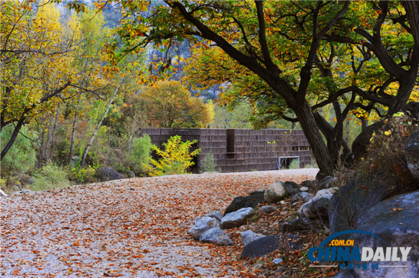 籬苑書屋——柴火棍搭建的世外桃源