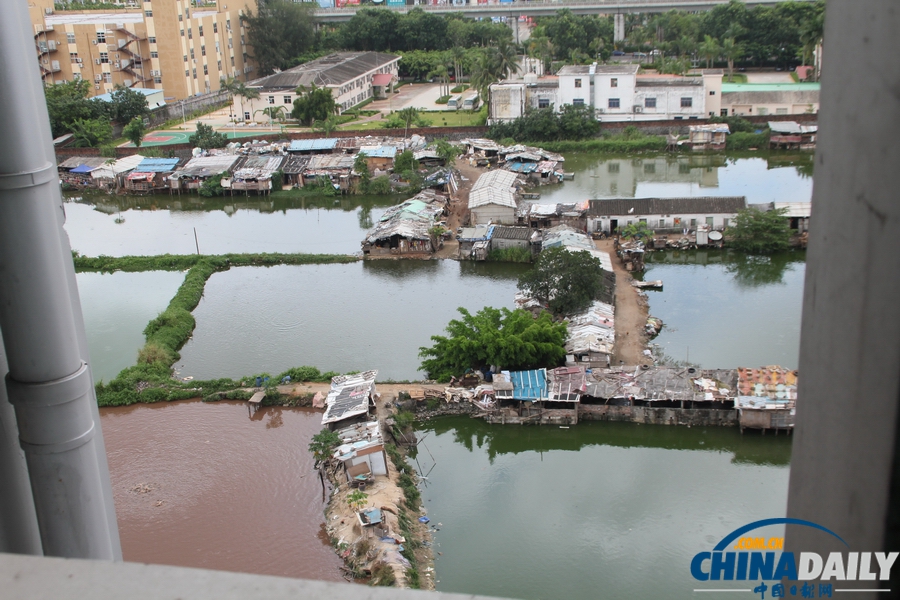 網曝海口上萬斤“垃圾魚”流向市場 官方介入調查