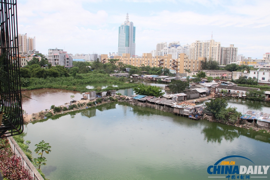 網曝海口上萬斤“垃圾魚”流向市場 官方介入調查