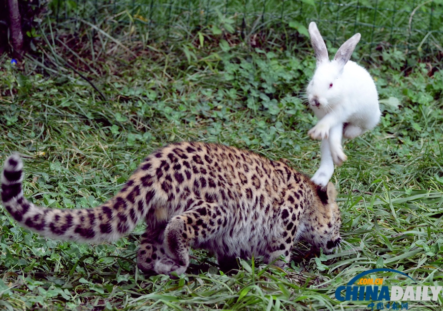 《中國(guó)日?qǐng)?bào)》一周圖片精選： 9月7日—9月13日