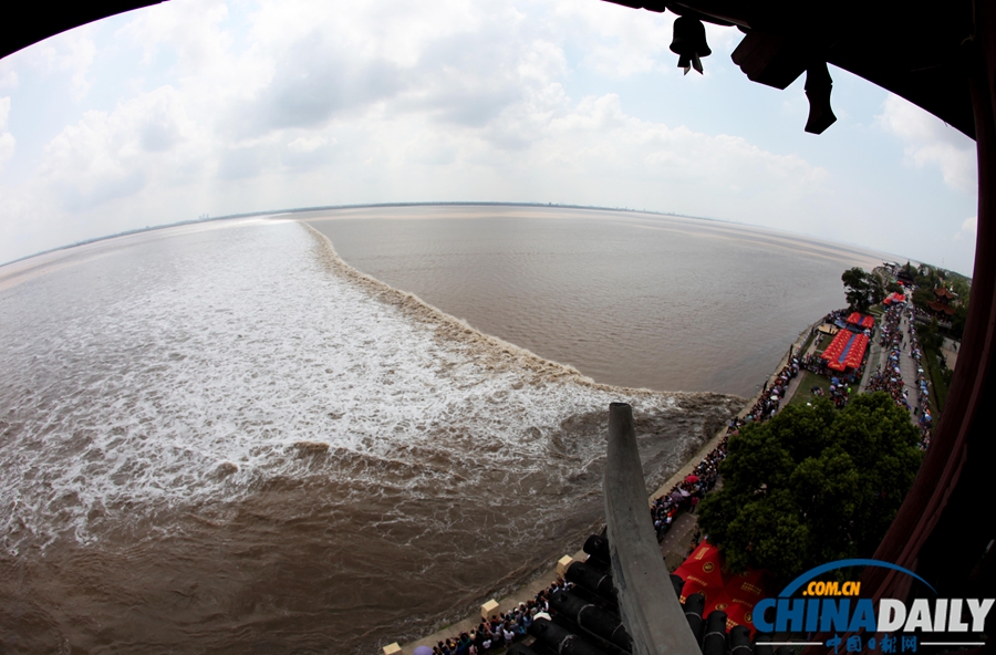 杭州：“天兔”助力 錢江潮水更“兇猛”