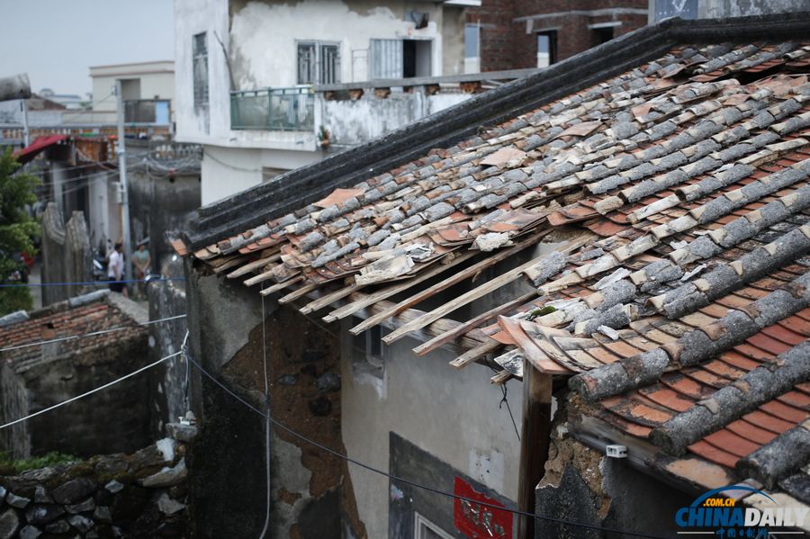 廣東陸豐：臺(tái)風(fēng)“天兔”來(lái)襲 受災(zāi)嚴(yán)重