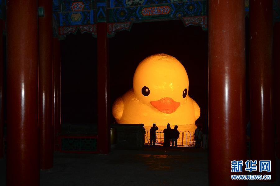 大黃鴨“移居”頤和園 26日正式與游客見面