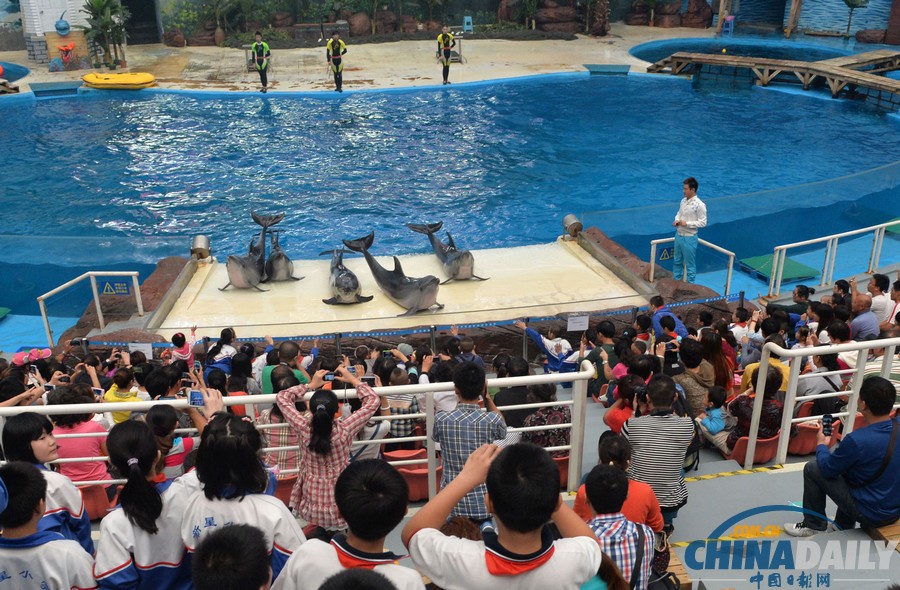 天津海洋館極地動物“大閱兵”
