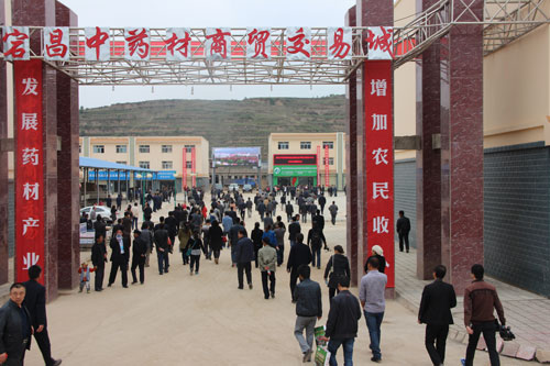 甘肅宕昌縣中藥材產銷對接洽談會喜簽項目22個