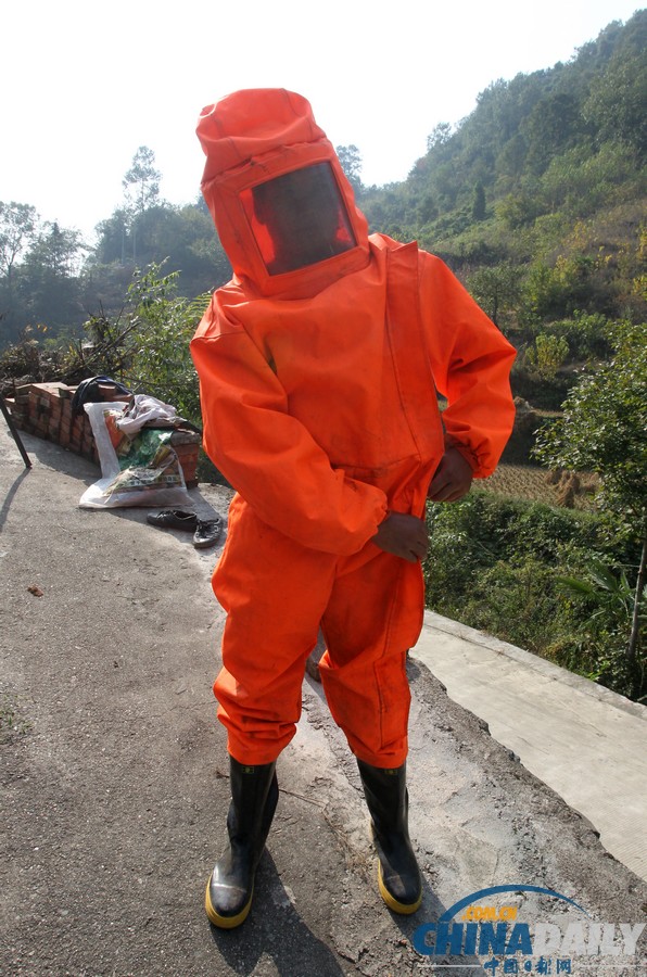 陜西三市42人被胡蜂蟄死 1周摘除蜂窩近千個