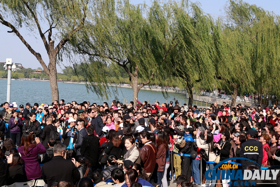 霍夫曼成龍攜萬人告別大黃鴨